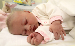 Végh Luca, Mosonszolnok