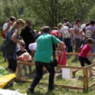 Szigetközi gulyahajtás 2018