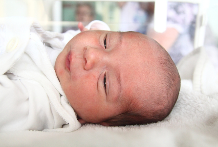 Szilágyi Botond, Farád