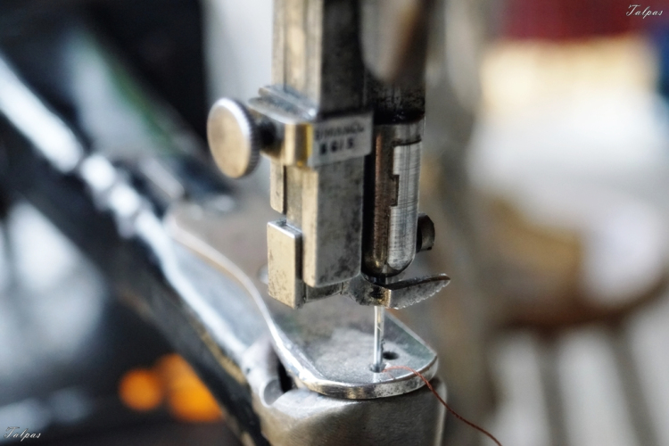 I. Szigetközi Vásár