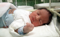 Flóra Eliott, Mosonmagyaróvár