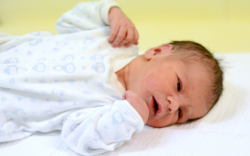 Besenyei Bendegúz, Hegyeshalom