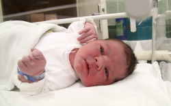 Sedlák Damján Dante, Csorna