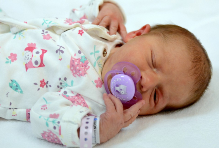 Zsigmond Ízisz, Dunakiliti