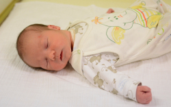 Szabolcsi László, Újrónafő