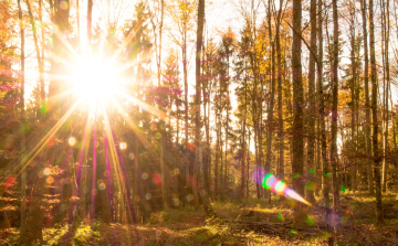 Egyre szárazabb időre lehet számítani a héten, sok napsütéssel és melegedéssel