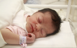 Török Zara Lora, Beled