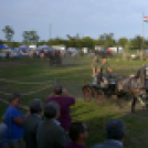 10.  Sajtos-Réti fogathajtó verseny 