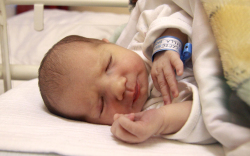 Czere Lilla, Mosonmagyaróvár