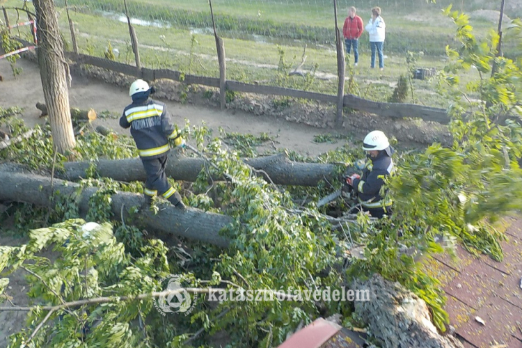 Tegnap a viharos szél adott munkát a tűzoltóknak