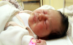 Bangha Lilien, Lipőt