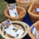 I. Szigetközi Vásár