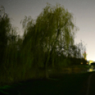 Egy éjszaka a Lajta parton 