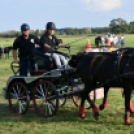 10.  Sajtos-Réti fogathajtó verseny 