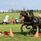10.  Sajtos-Réti fogathajtó verseny 