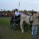 10.  Sajtos-Réti fogathajtó verseny 