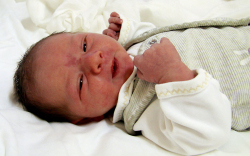 Forál Balázs, Máriakálnok