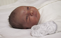 Bálint Ábel, Jánosomorja