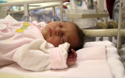 Korcz Tifani, Mosonmagyaróvár