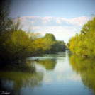 Őszi képek a Szigetközben