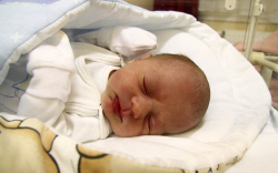 Pongrácz Dominik, Győrsövénytár