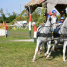 10.  Sajtos-Réti fogathajtó verseny 