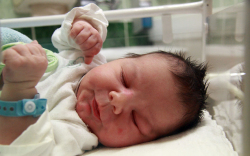 Szabó Bence László, Mosonmagyaróvár