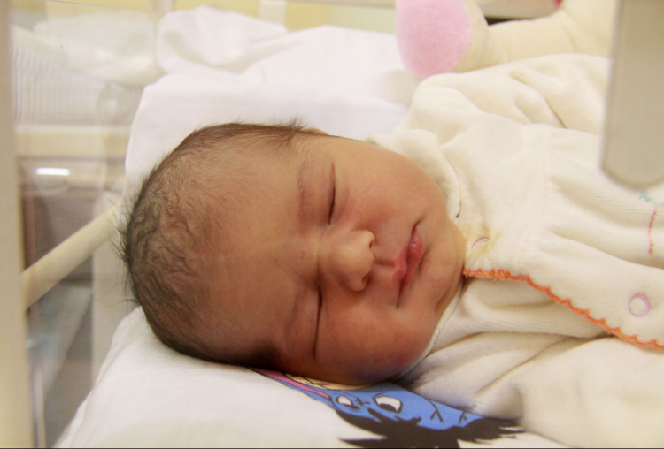 Németh Noémi, Bősárkány