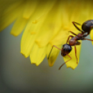 Scháling Anita Fotóalbuma