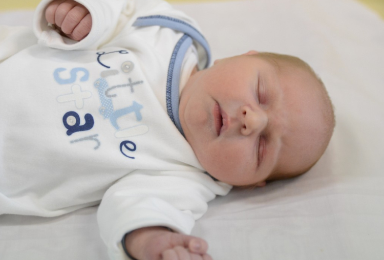 Mogyorósi Márk, Feketeerdő