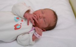 Lechner Csenge Amira, Jánossomorja