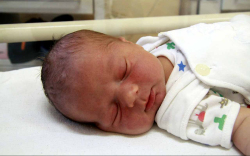 Világi Soma, Mosonszolnok