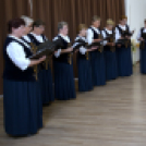 Szigetközi önkormányzatok a fenntartható energiahasználatért