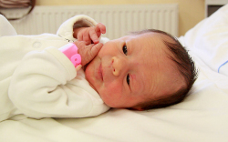 Vikidár Barbara, Mosonmagyaróvár