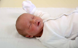 Horváth Molli, Jánossomorja