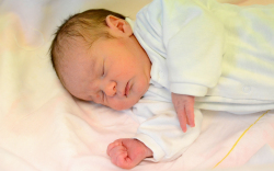 Ozmándi-Bodits Alex, Mosonmagyaróvár