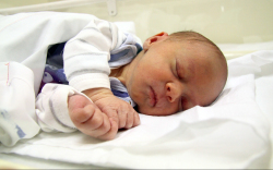 Styevkó István, Mosonmagyaróvár