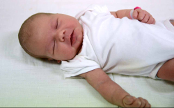 Rigó-Kobsz Szófia, Halászi