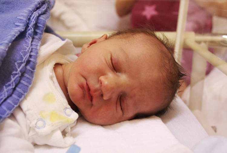 Varga Nimród, Mosonmagyaróvár