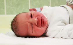 Telek Olivér, Kimle