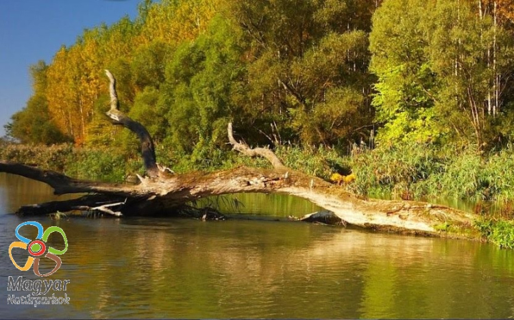 Újabb workshopok a Szigetközi Natúrparkért Dunakilitin