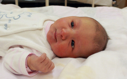 Cseke Nóra, Mosonmagyaróvár