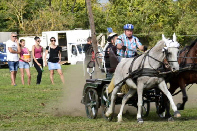 10.  Sajtos-Réti fogathajtó verseny 