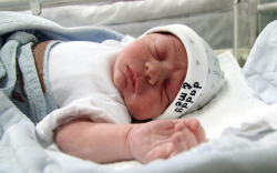 Petrekovits Lénárd, Mosonmagyaróvár