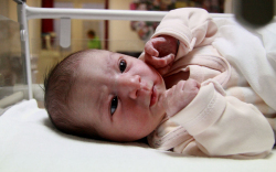 Kincses Flóra, Mosonmagyaróvár