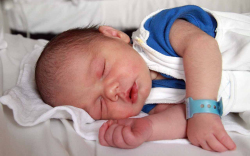 Szakál Zalán Vajk, Mosonmagyaróvár