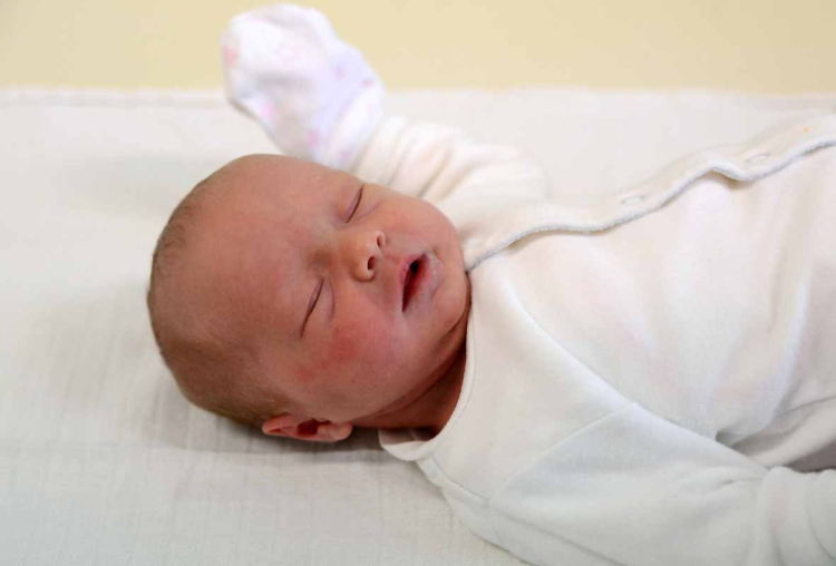 Horváth Molli, Jánossomorja