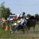 10.  Sajtos-Réti fogathajtó verseny 