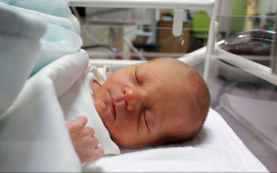 Boros Gábor, Mosonmagyaróvár