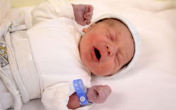 Pásztor Bence, Lipót